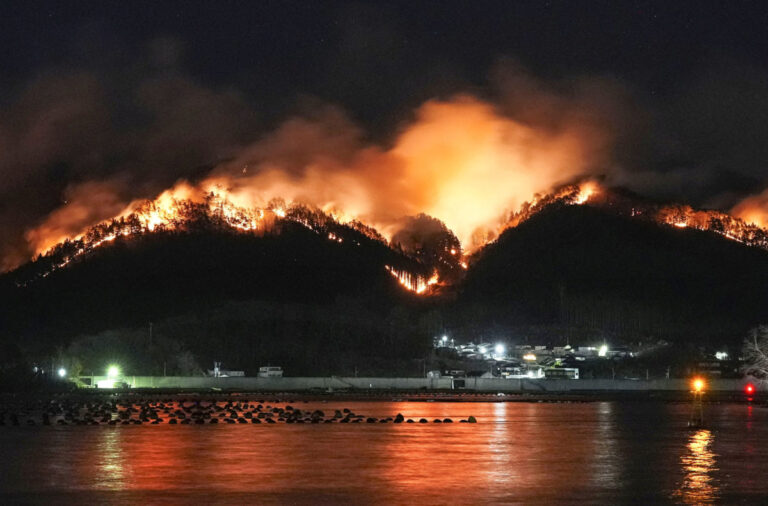 Japan Wildfire: Massive Forest Fire in Yamanashi Near Tokyo